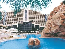 Dan Eilat